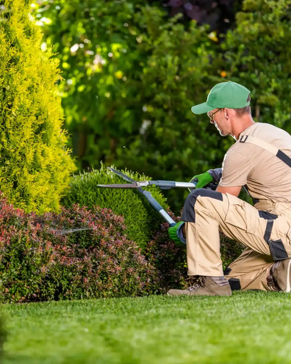 amenagement-jardin-980x1225_11zon