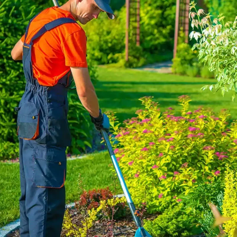Landscaping Services 5_11zon