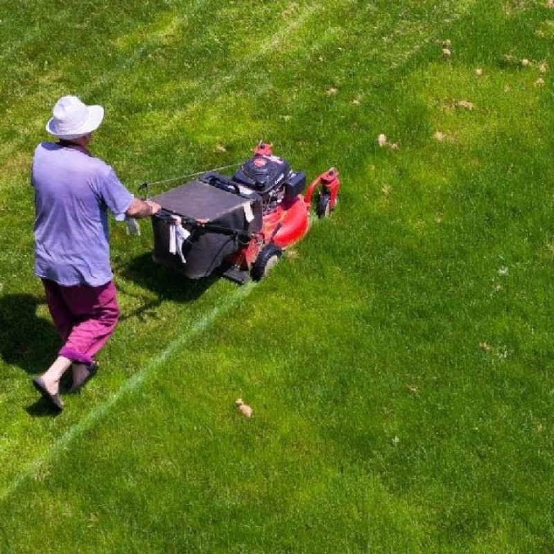 Lawn Care Services in Dexter MI