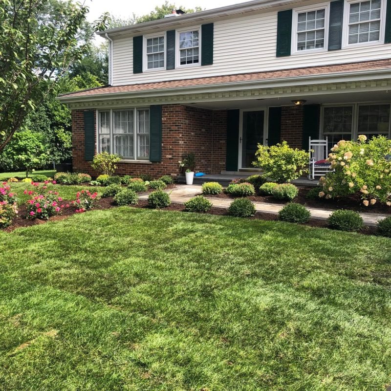 Our Step-by-Step Process