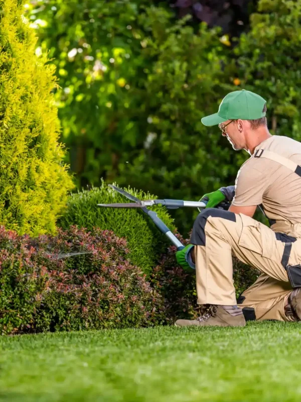 amenagement-jardin-980x1225_11zon