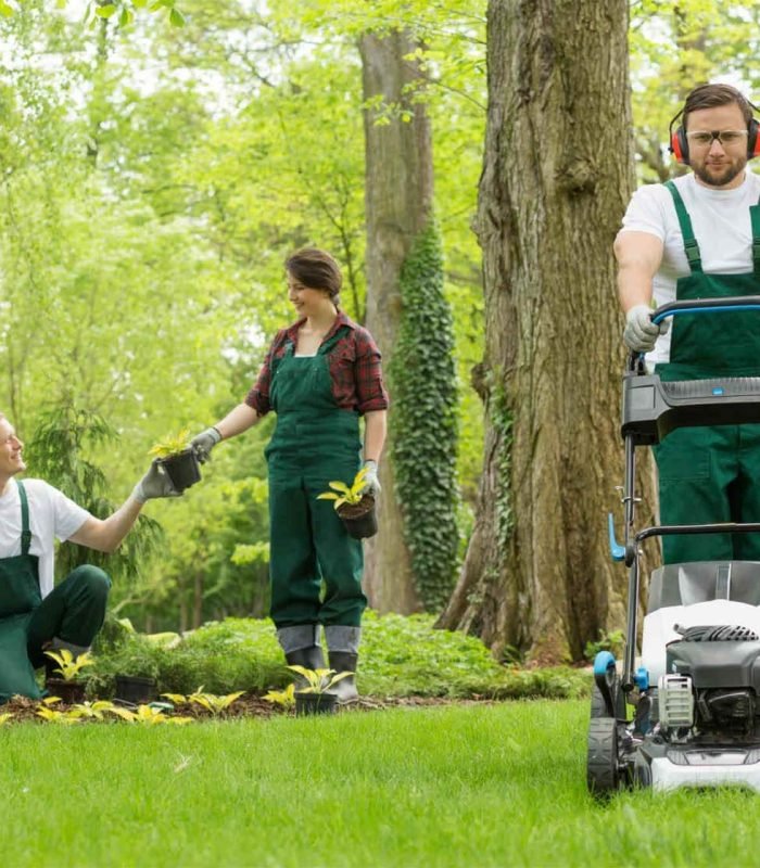 what-is-lawn-care-services-1701275632 (1)